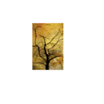 Tree in Fall Wall Art