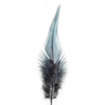 Blue Feather Wall Art