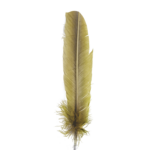 Golden Feather Wall Art