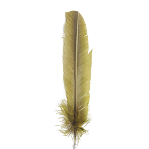 Golden Feather Wall Art