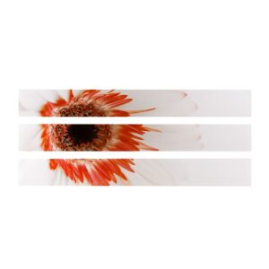 Red Flower