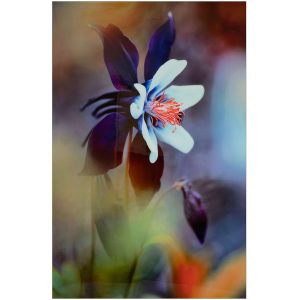 White Flower Wall Art