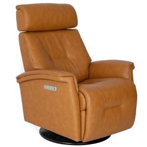 Rome Large Power Motion Recliner