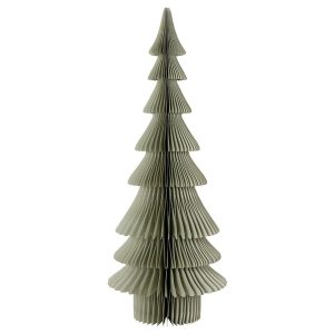 Siberian Fir Paper Tree 24